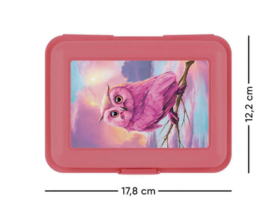 Box na svačinu Sova