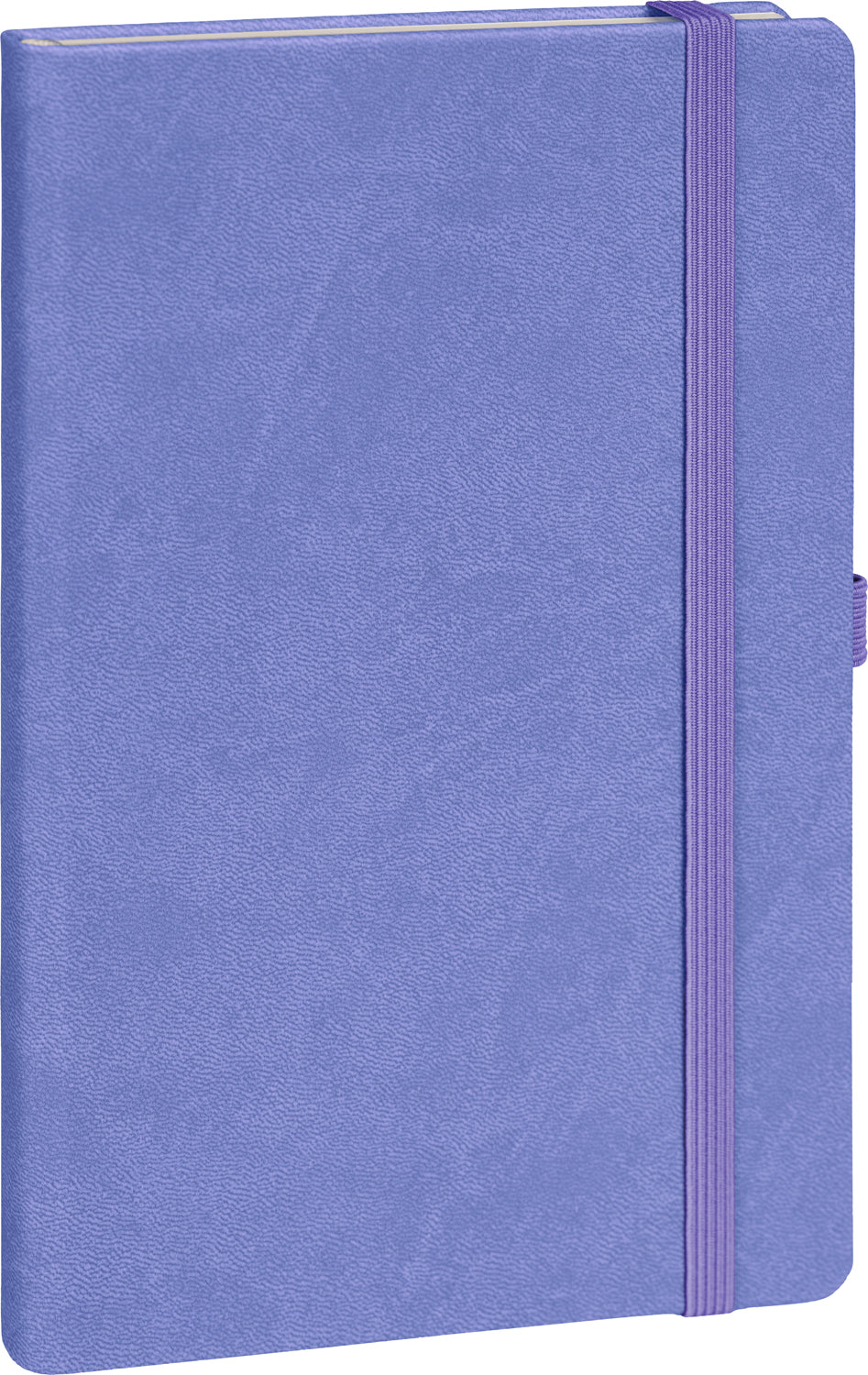 Notes Lila, tečkovaný, 13 × 21 cm