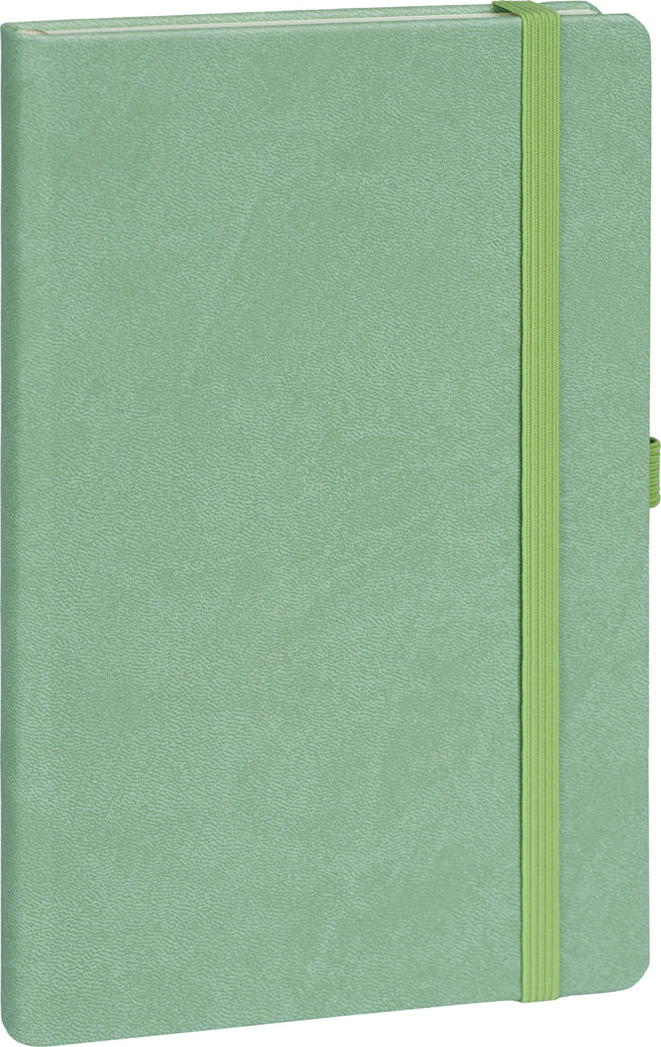 Notes Zelený, tečkovaný, 13 × 21 cm