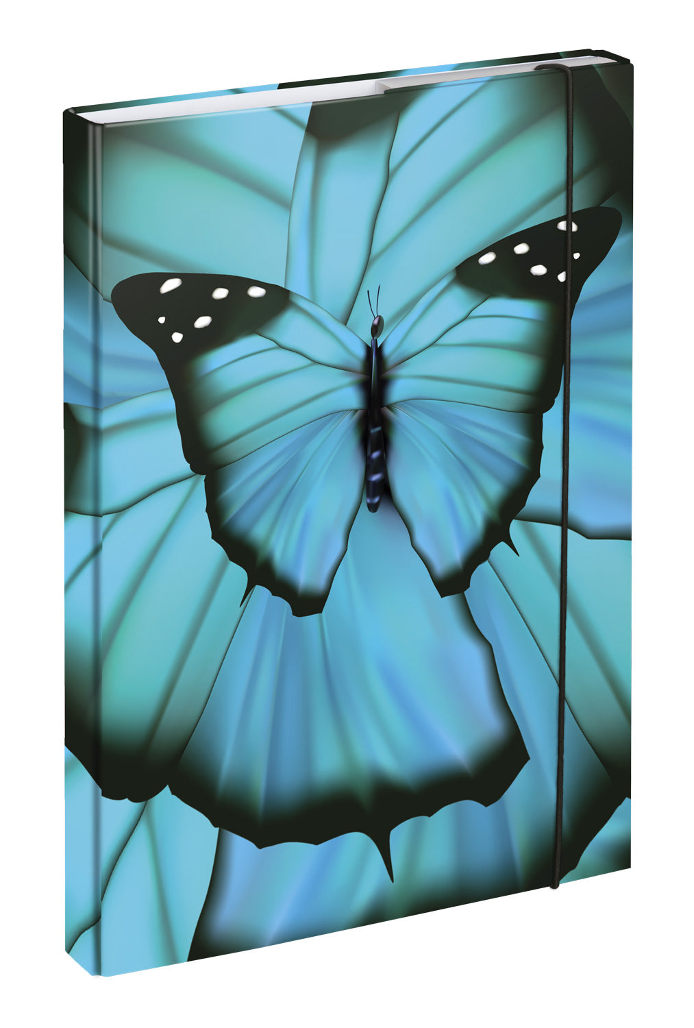 Školní set Ergo Butterfly II
