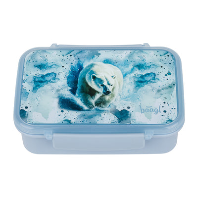 Box na svačinu s přihrádkami Polar