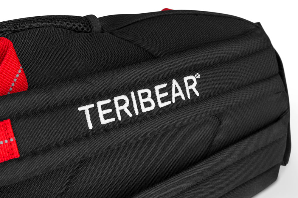 Teribear, dětský batoh