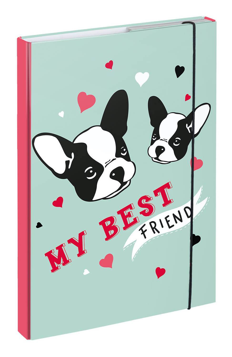 Desky na školní sešity A4 Doggie