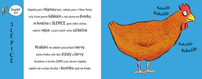 Rozpustilé hrátky NA DVOŘE se zvířátky