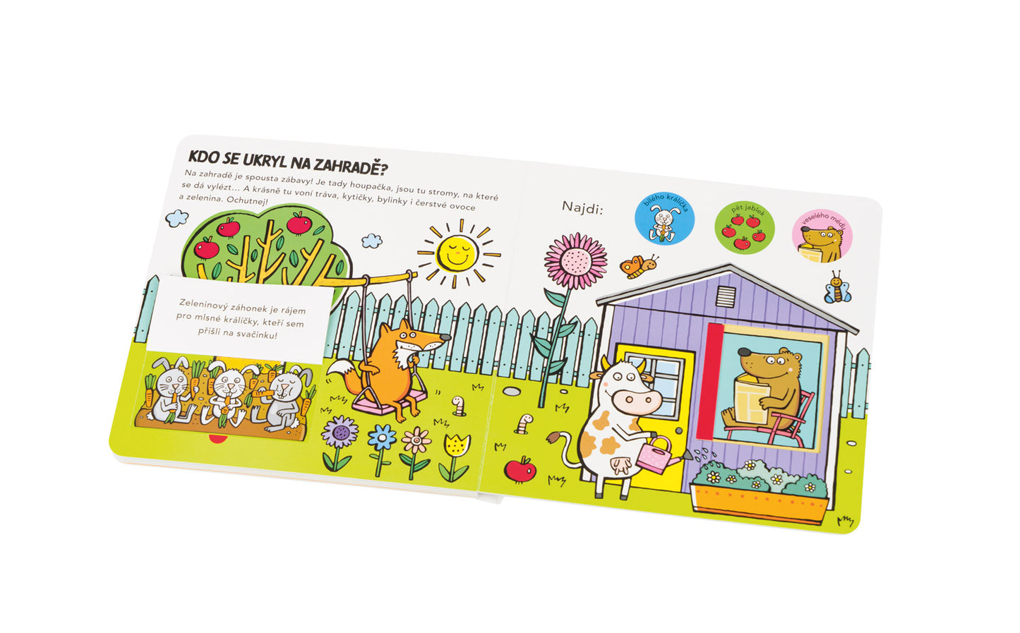Kam se schovala ZVÍŘÁTKA V DOMĚ – Hádanky pro nejmenší