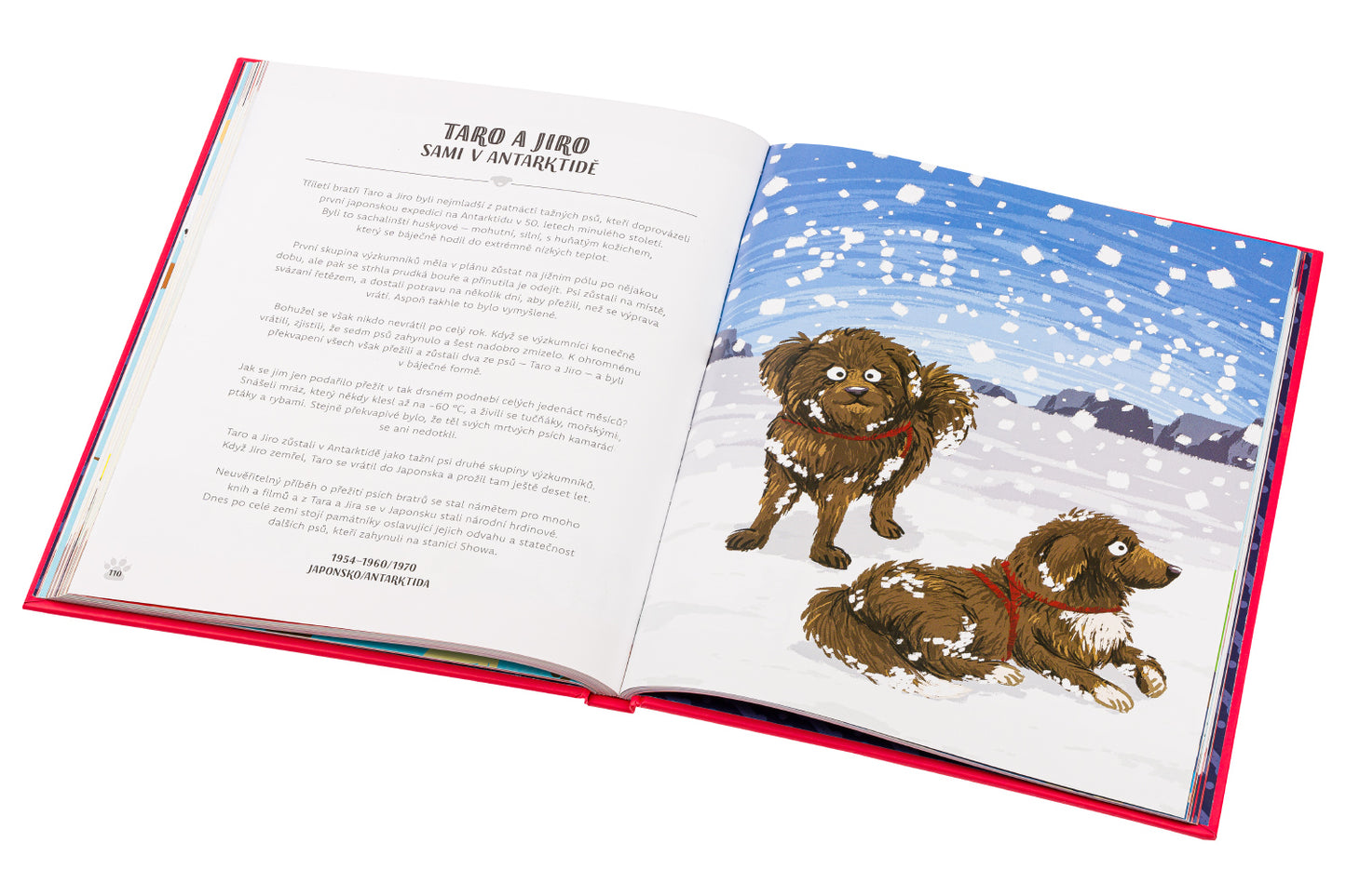 PSI V AKCI! – Neuvěřitelné psí příběhy