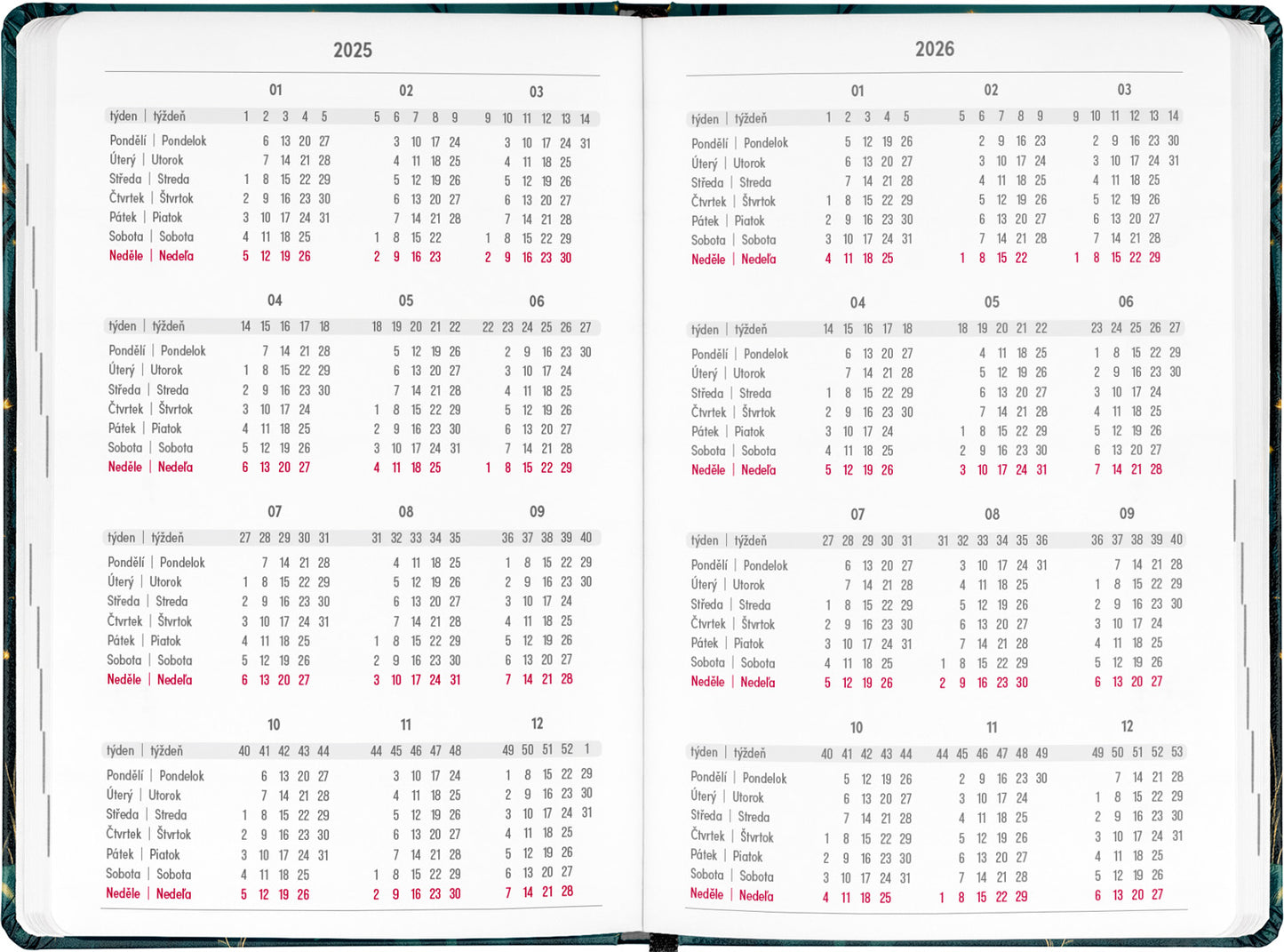18měsíční diář Petito – Liška 2025/2026, 11 x 17 cm
