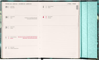 Týdenní magnetický diář Monstera 2026, 11 x 16 cm