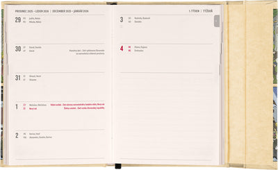 Týdenní magnetický diář Josef Lada 2026, 11 x 16 cm