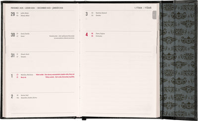 Týdenní magnetický diář Harry Potter – Lumos 2026, 11 x 16 cm