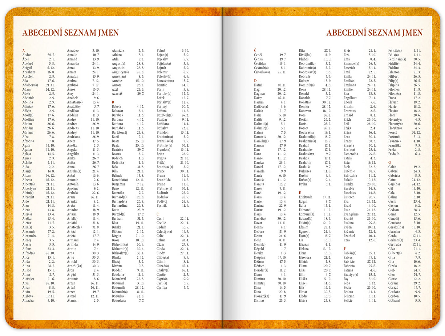 Studentský diář Harry Potter – Bradavice (září 2025 – prosinec 2026), 9,8 x 14,5 cm