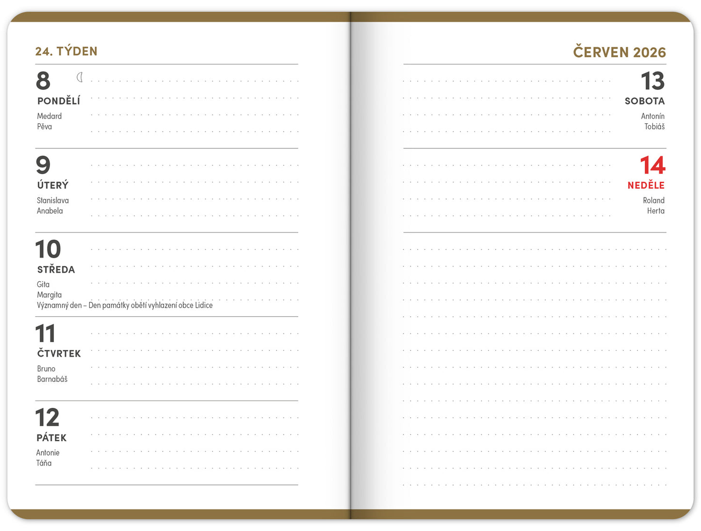 Studentský diář Academia (září 2025 – prosinec 2026), 9,8 x 14,5 cm