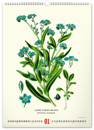 Nástěnný kalendář Vintage plakáty – herbář 2026, 33 x 46 cm