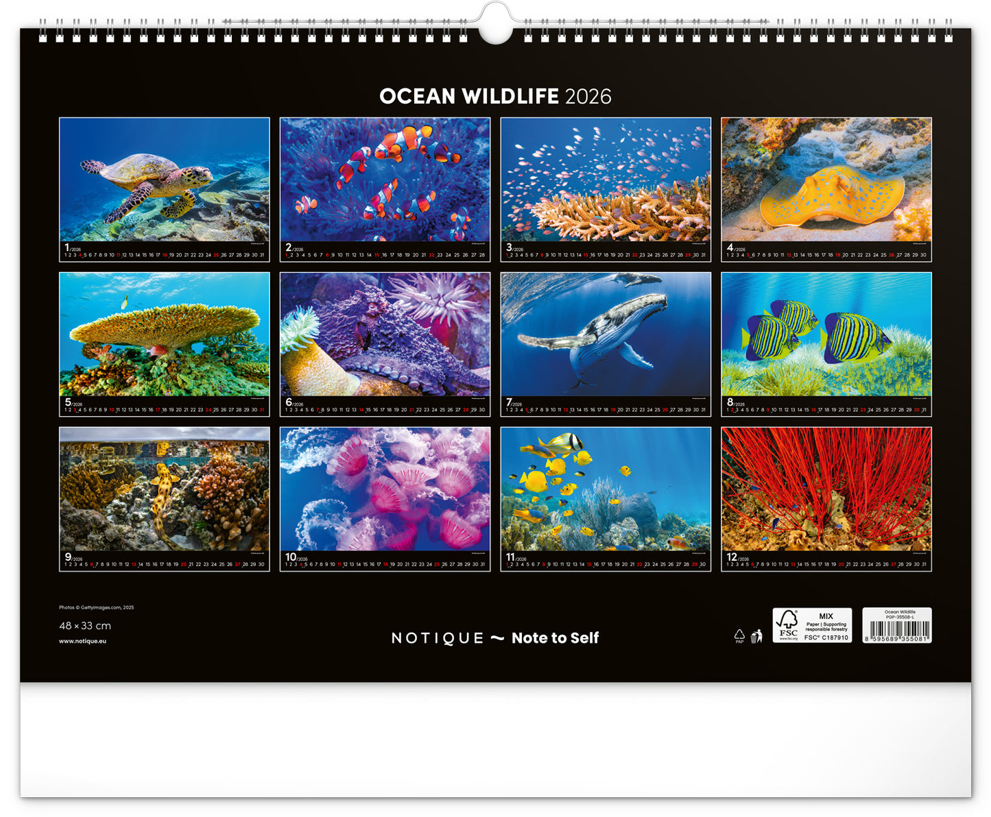 Nástěnný kalendář Podmořský svět 2026, 48 x 33 cm