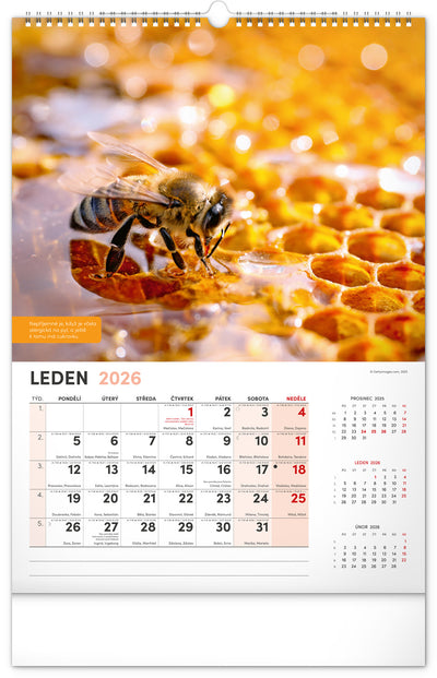 Nástěnný Včelařský kalendář 2026, 33 x 46 cm