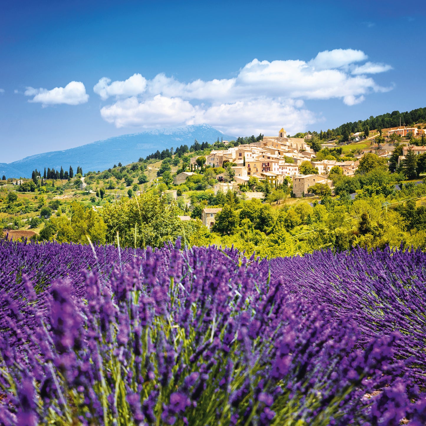 Poznámkový kalendář Provence 2026, 30 x 30 cm