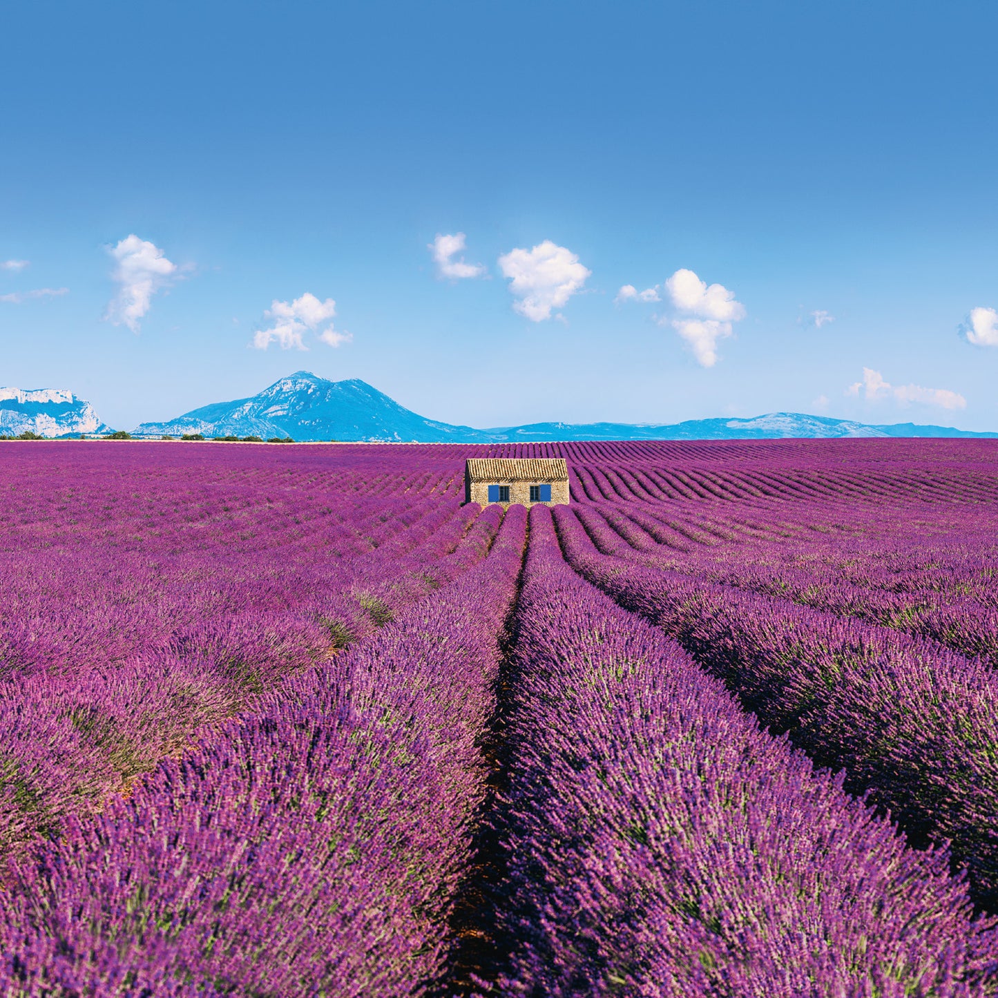 Poznámkový kalendář Provence 2026, 30 x 30 cm
