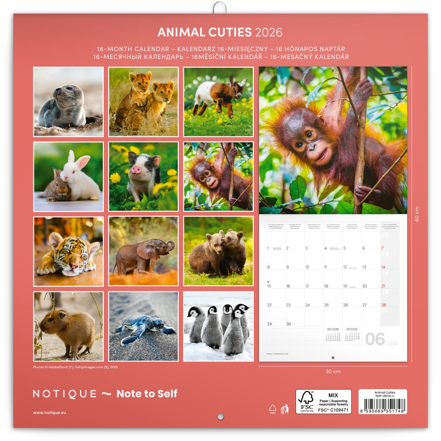 Poznámkový kalendář Mláďata 2026, 30 x 30 cm
