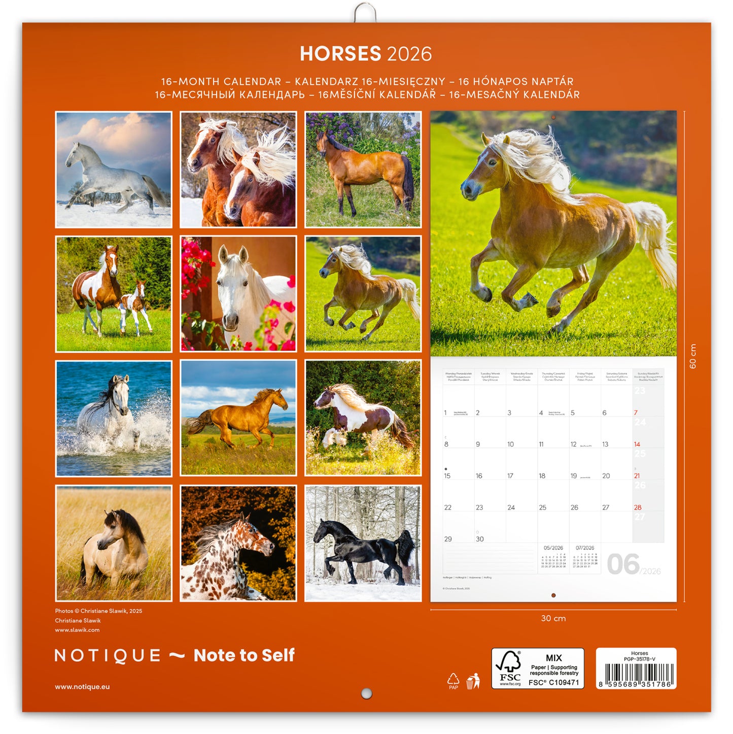 Poznámkový kalendář Koně – Christiane Slawik 2026, 30 x 30 cm