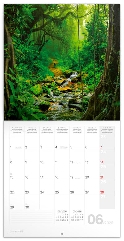 Poznámkový kalendář Deštné pralesy 2026, 30 x 30 cm
