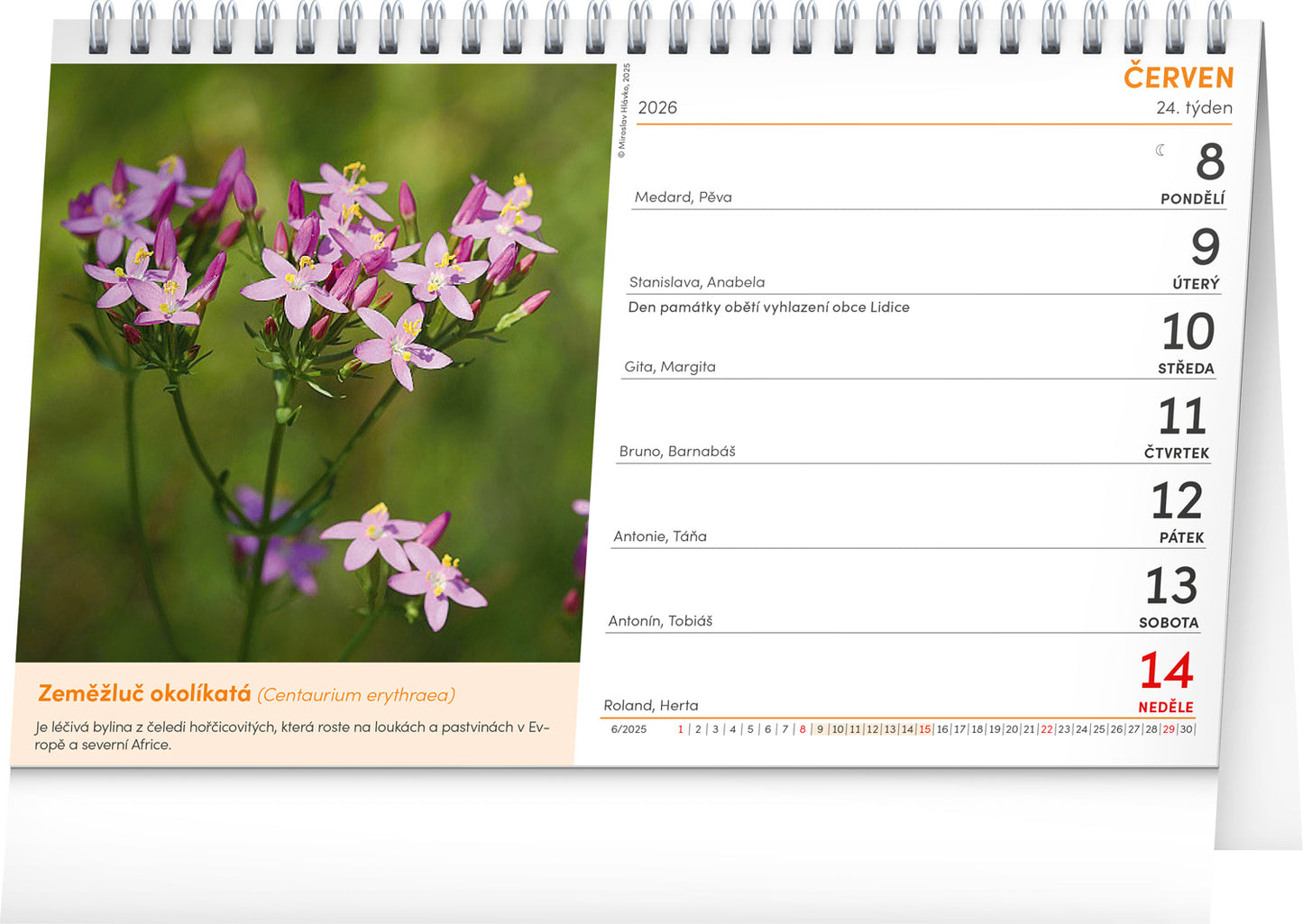 Stolní kalendář Přírodní lékárna 2026, 23,1 x 14,5 cm