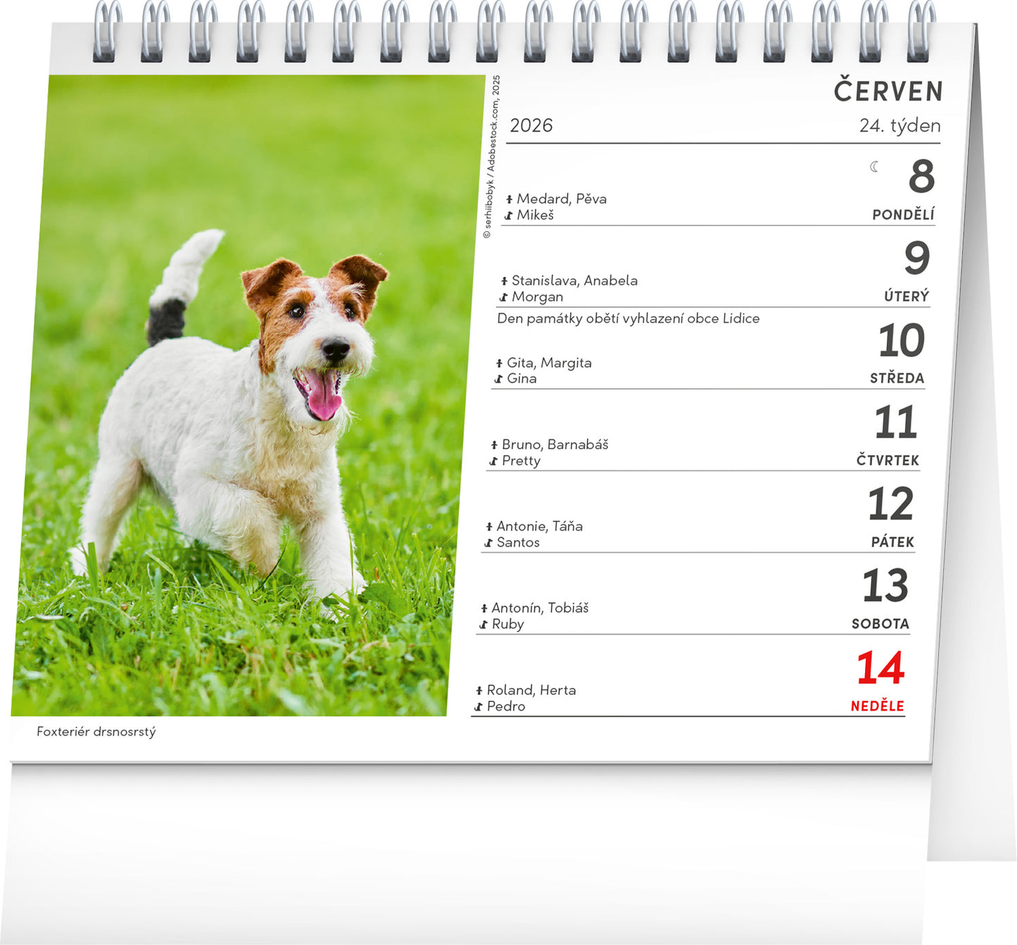 Stolní kalendář Psi – se jmény psů 2026, 16,5 x 13 cm