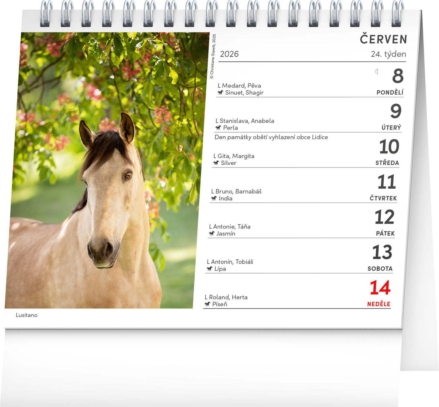 Stolní kalendář Poezie koní 2026, 16,5 x 13 cm