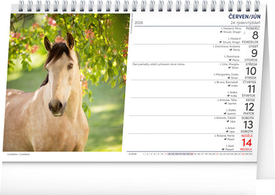Stolní kalendář Koně – Kone CZ/SK 2026, 23,1 x 14,5 cm