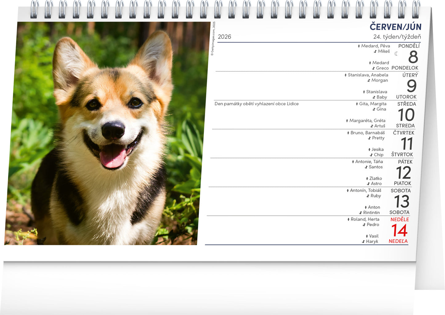 Stolní kalendář Psi – Psy CZ/SK 2026, 23,1 x 14,5 cm