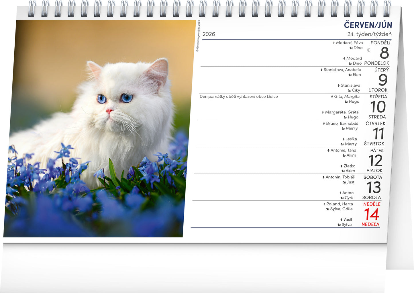 Stolní kalendář Kočky – Mačky CZ/SK 2026, 23,1 x 14,5 cm