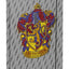 Desky na školní sešity A4 Harry Potter Nebelvír Erb