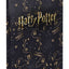 Desky na školní sešity A4 Harry Potter Pobertův plánek