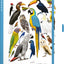 Notes Animalium – Ptáci, linkovaný, 13 x 21 cm