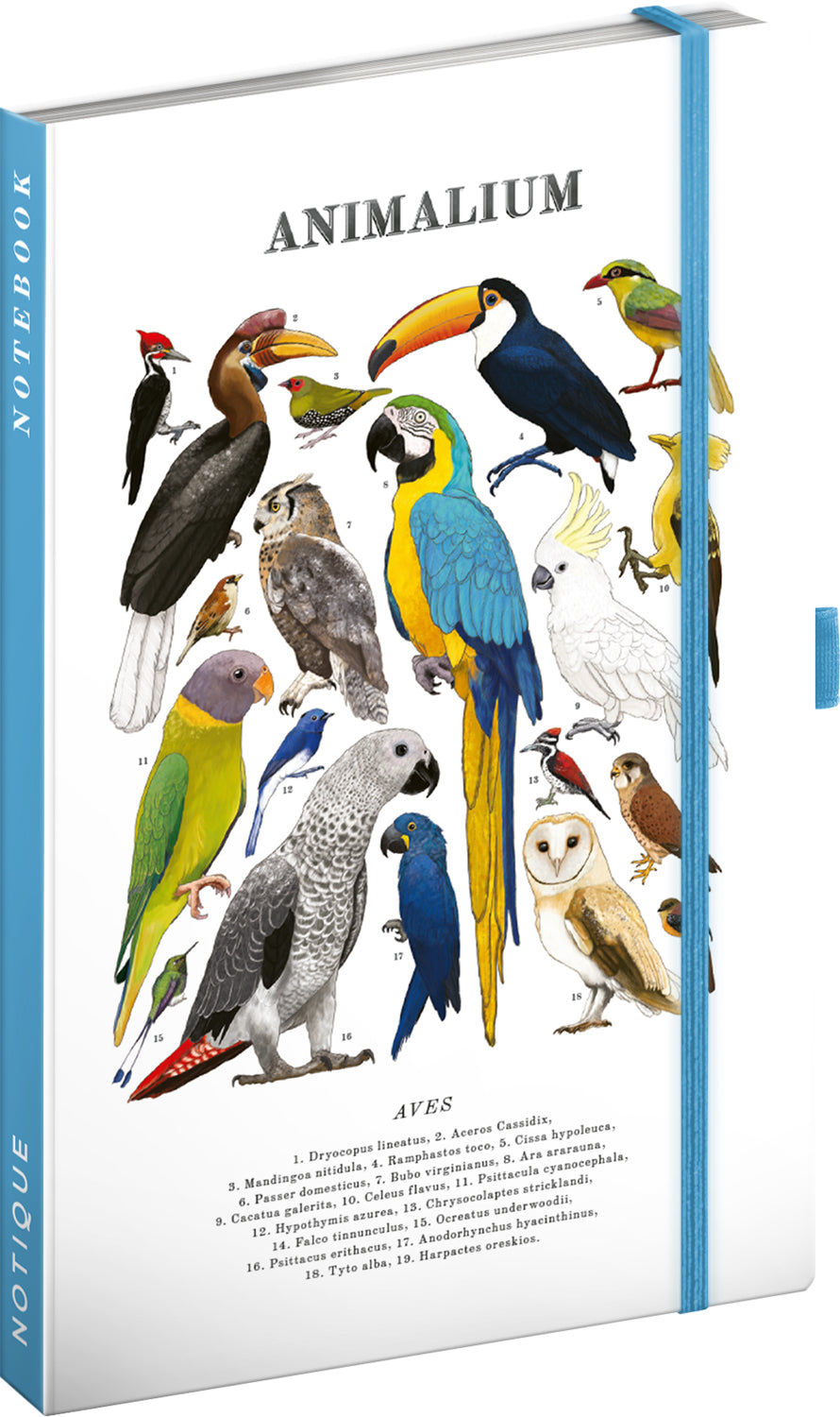 Notes Animalium – Ptáci, linkovaný, 13 x 21 cm