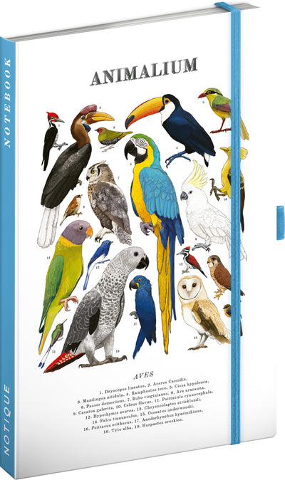 Notes Animalium – Ptáci, linkovaný, 13 x 21 cm