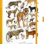 Notes Animalium – Kočkovité šelmy, linkovaný, 13 x 21 cm