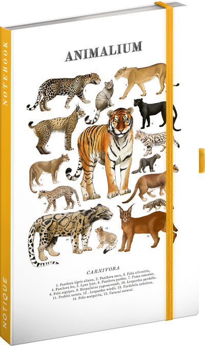 Notes Animalium – Kočkovité šelmy, linkovaný, 13 x 21 cm
