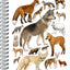 Spirálový blok Animalium – Psovité šelmy, linkovaný, A4
