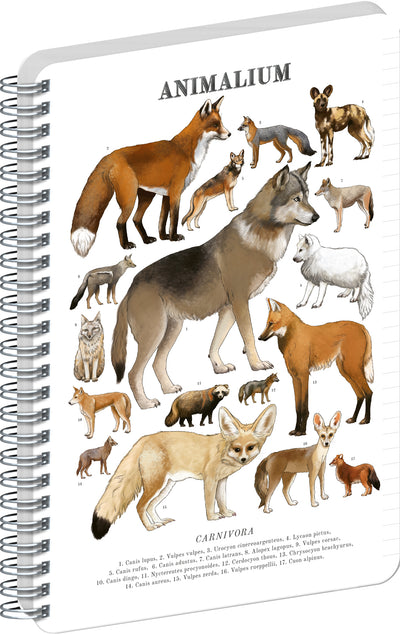 Spirálový blok Animalium – Psovité šelmy, linkovaný, A4