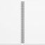 Spirálový blok Animalium – Psovité šelmy, linkovaný, A5