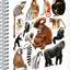 Spirálový blok Animalium – Primáti, čtverečkovaný, A5