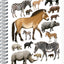 Spirálový blok Animalium – Lichokopytníci, čtverečkovaný, A4