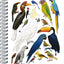 Spirálový blok Animalium – Ptáci, čistý, A4