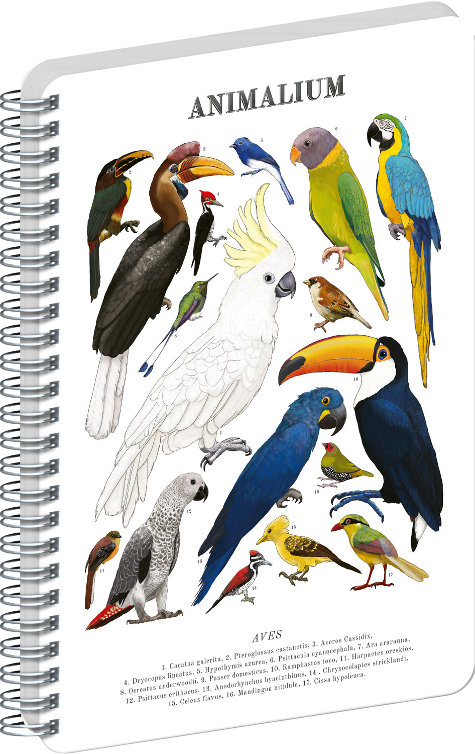 Spirálový blok Animalium – Ptáci, čistý, A4