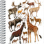 Spirálový blok Animalium – Sudokopytníci, čistý, A5