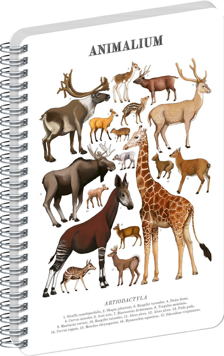 Spirálový blok Animalium – Sudokopytníci, čistý, A5