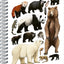 Spirálový blok Animalium – Medvědovité šelmy, čistý, A4