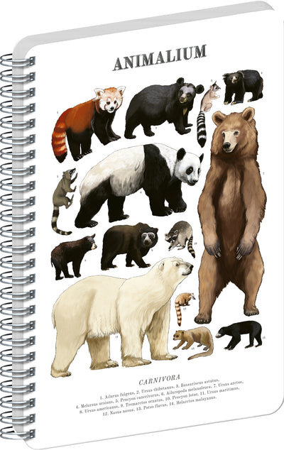 Spirálový blok Animalium – Medvědovité šelmy, čistý, A4