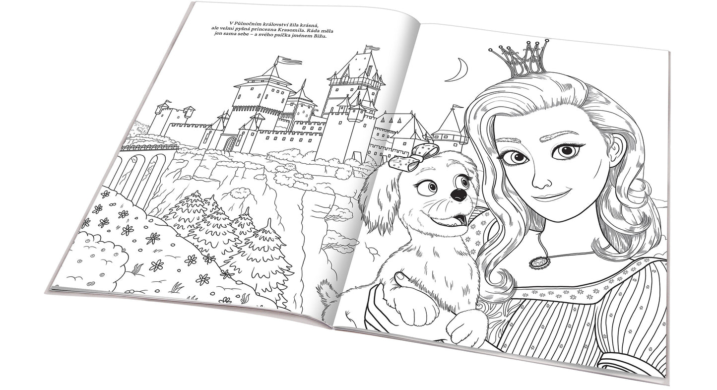 PYŠNÁ PRINCEZNA – Omalovánky na motivy filmové pohádky