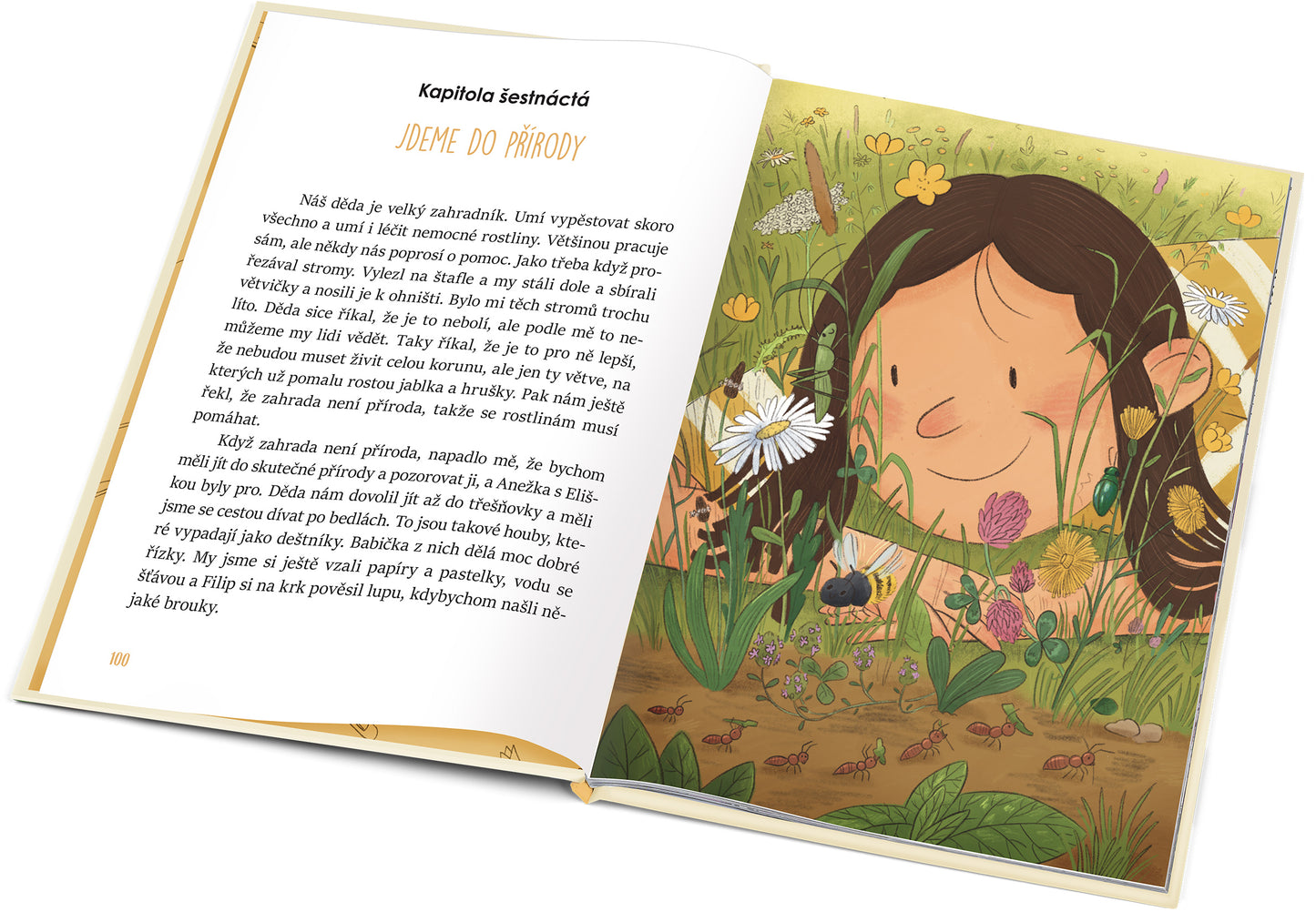 Druhé čtení  – BÁRA JEDE NA CHATU